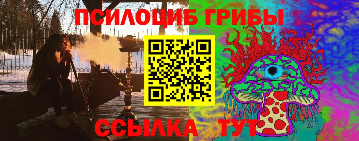 Псилоцибиновые грибы Psilocybe Знаменск