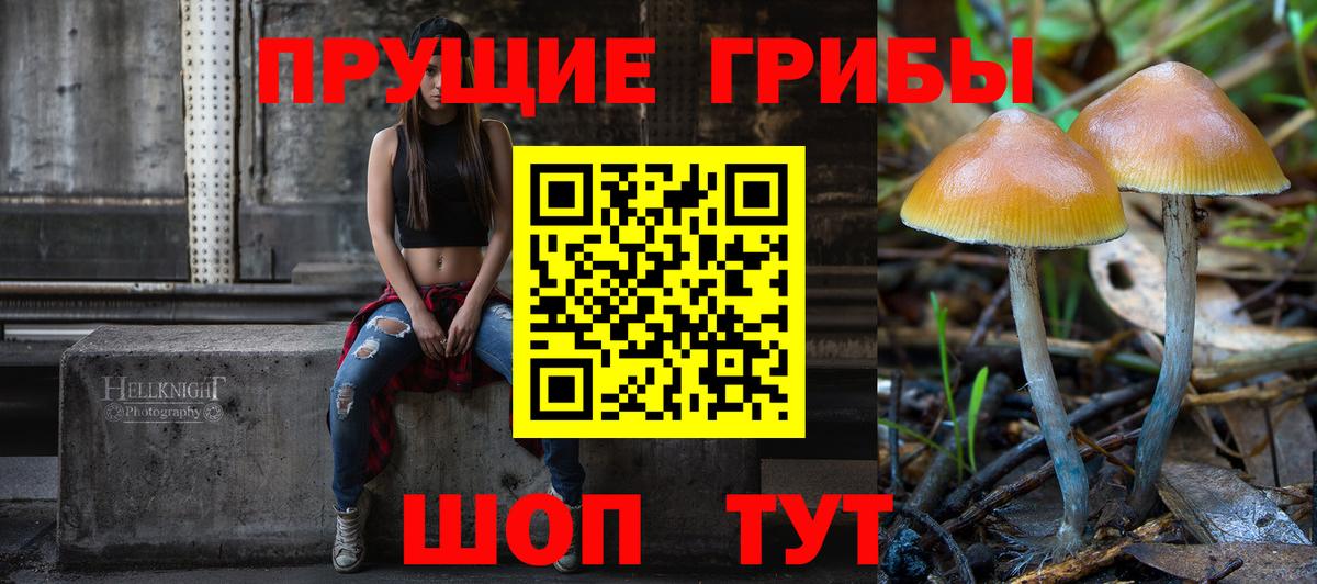 Галлюциногенные грибы ЛСД  Вход с VPN  как найти наркотики  Псилоцибиновые грибы MAGIC MUSHROOMS  Знаменск 